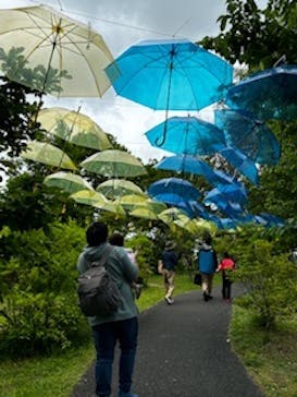 十勝ヒルズに投稿された画像（2024/6/9）