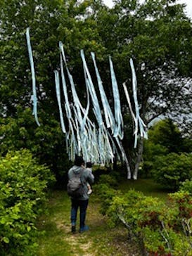 十勝ヒルズに投稿された画像（2024/6/9）