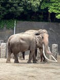 横浜市立金沢動物園に投稿された画像（2024/6/9）