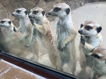 よこはま動物園ズーラシアに投稿された画像（2024/6/9）