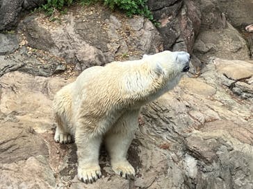 よこはま動物園ズーラシアに投稿された画像（2024/6/9）