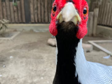 よこはま動物園ズーラシアに投稿された画像（2024/6/9）