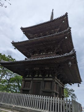 三溪園に投稿された画像（2024/6/9）