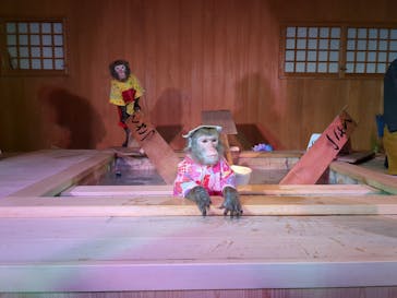 おさるの湯もみ処　おさ湯に投稿された画像（2024/6/9）