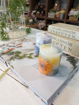 SEASON（シーズン）に投稿された画像（2024/6/9）