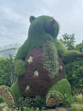 浜名湖花博2024に投稿された画像（2024/6/9）