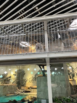 NIFREL（ニフレル）に投稿された画像（2024/6/9）