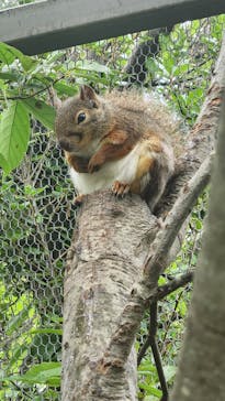 神戸どうぶつ王国に投稿された画像（2024/6/9）
