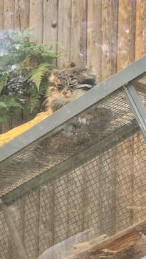 神戸どうぶつ王国に投稿された画像（2024/6/9）