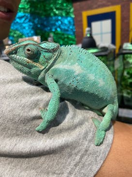 いきもの探検隊上尾に投稿された画像（2024/6/9）