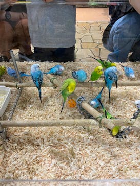 いきもの探検隊上尾に投稿された画像（2024/6/9）