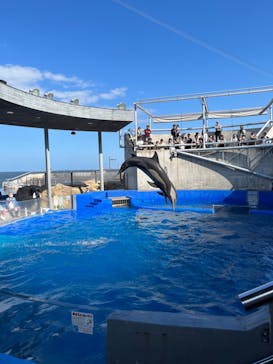 大分マリーンパレス水族館 「うみたまご」に投稿された画像（2024/6/9）