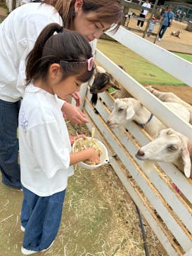 成田ゆめ牧場に投稿された画像（2024/6/9）