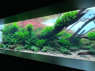 AOAO SAPPOROに投稿された画像（2024/6/9）