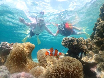 タビワク　宮古島に投稿された画像（2024/6/9）