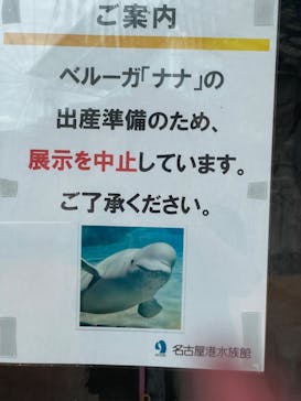 名古屋港水族館に投稿された画像（2024/6/9）