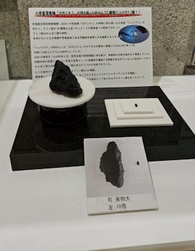 ストーンミュージアム博石館に投稿された画像（2024/6/9）