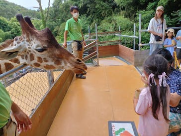 しろとり動物園に投稿された画像（2024/6/9）
