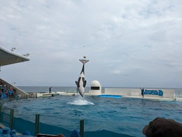 鴨川シーワールドに投稿された画像（2024/6/9）