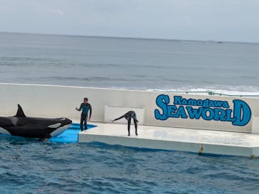 鴨川シーワールドに投稿された画像（2024/6/9）