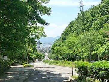 印象派　モネからアメリカへ　ウスター美術館所蔵　郡山展に投稿された画像（2024/6/9）