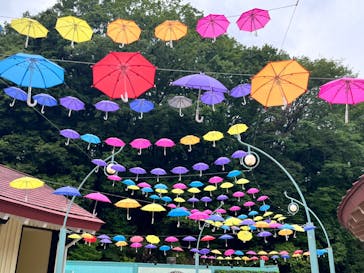 ムーミンバレーパークに投稿された画像（2024/6/9）