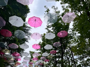 ムーミンバレーパークに投稿された画像（2024/6/9）