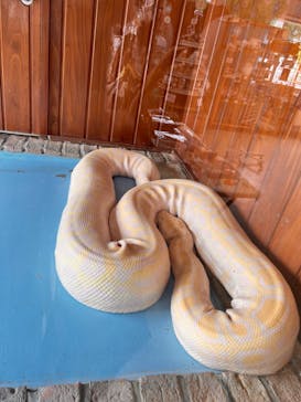 東武動物公園に投稿された画像（2024/6/9）