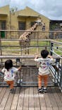 日立市かみね動物園に投稿された画像（2024/6/10）