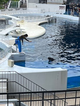京都水族館に投稿された画像（2024/6/9）
