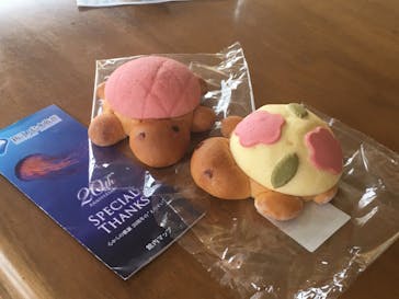 新江ノ島水族館に投稿された画像（2024/6/9）