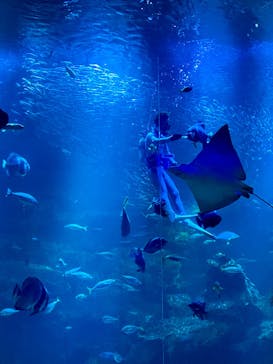 京都水族館に投稿された画像（2024/6/9）