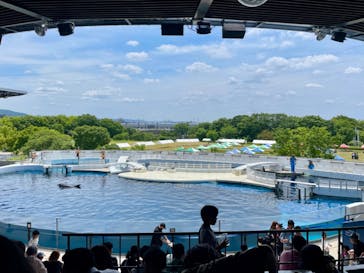 京都水族館に投稿された画像（2024/6/9）