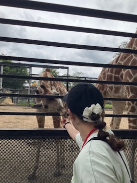 宇都宮動物園に投稿された画像（2024/6/9）