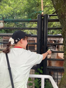 宇都宮動物園に投稿された画像（2024/6/9）