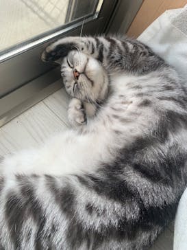 那須サファリパークに投稿された画像（2024/6/9）