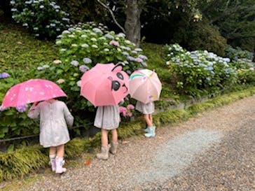 浜名湖花博2024に投稿された画像（2024/6/10）