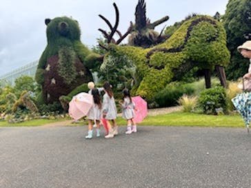 浜名湖花博2024に投稿された画像（2024/6/10）