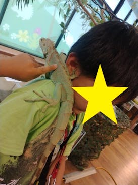 いきもの探検隊湘南に投稿された画像（2024/6/10）