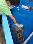 竹島水族館に投稿された画像（2024/6/10）