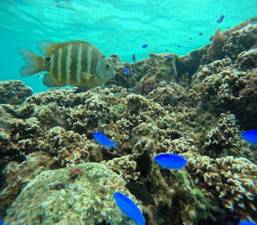 武藤潜水に投稿された画像（2024/6/10）