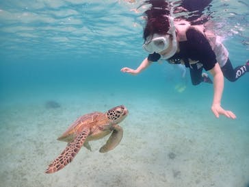 宮古島マリンショップSmileyに投稿された画像（2024/6/10）
