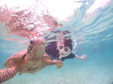 宮古島マリンショップSmileyに投稿された画像（2024/6/10）