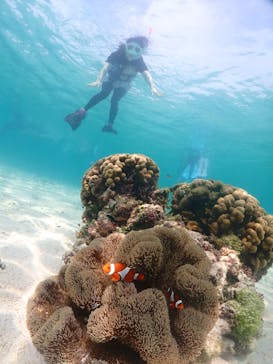 宮古島マリンショップSmileyに投稿された画像（2024/6/10）