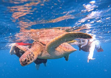  マリンショップHAPPYに投稿された画像（2024/6/10）