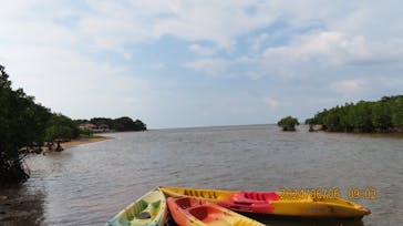 CHOROに投稿された画像（2024/6/10）