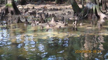 CHOROに投稿された画像（2024/6/10）