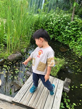 京都水族館に投稿された画像（2024/6/10）