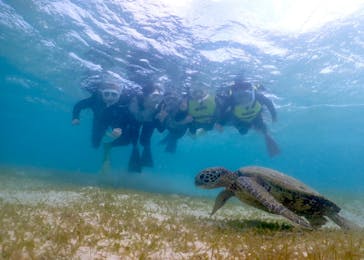 タビワク　宮古島に投稿された画像（2024/6/10）
