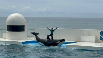 鴨川シーワールドに投稿された画像（2024/6/10）